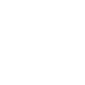 icon_focus_reverse