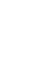 icon_initiative-1B