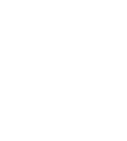 icon_initiative-4B