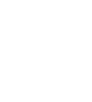 icon_initiative-5B